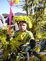 vélo carnavalesque 19